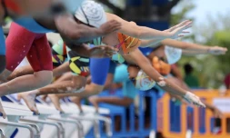 Championnats Natation Plateau Caillou