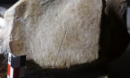 Image non datée fournie par l'université de Leyde aux Pays-bas montrant des entailles dans un os d'éléphant à défenses droites, ayant selon une étude été chassé par des Hommes de Néandertal ( Leiden University / Wil Roebroeks )