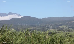 sonde à canne