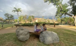 parc boisé au port
