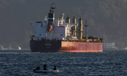 exportation céréales Russie