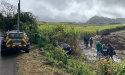 Gendarme - Petite I?le - Planteurs - Travail ille?gal5