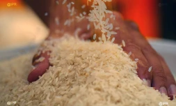 riz