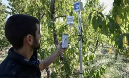 Sotiris Mournos, agriculteur utilisant les technologies connectées sur son exploitation, à Platy (Grèce) le 18 octobre 2022 ( AFP / Sakis MITROLIDIS )