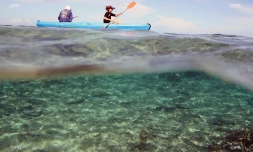 lagon