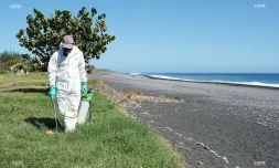 veille sanitaire au Port