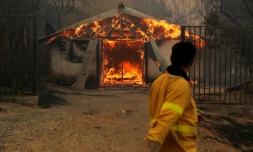 Chili: 22 morts dans des incendies de forĂȘts, selon un nouveau bilan