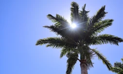 météo réunion
