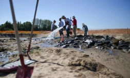 Épaves et pêcheries médiévales, des vestiges "exceptionnels" mis au jour dans le lit de la Loire