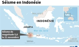 En Indonésie, un séisme fait au moins 44 morts et des centaines de blessés