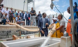 Visite de Hervé Berville au Port