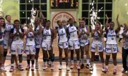 Tampon - basket - Coupe de France