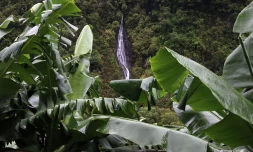 Cascade route de Salazie