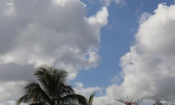 météo réunion