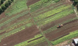 Agriculture