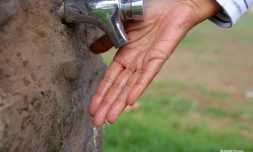 Robinet d'eau