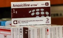 Amoxicilline