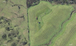 agriculture