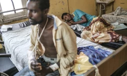 Addis Abeba dit contrôler 70% du Tigré, que l'aide afflue, démenti rebelle