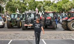 Manifestation des planteurs 2022