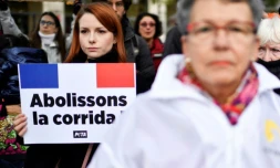 Pro et anti corrida dans la rue avant un vote à l'Assemblée