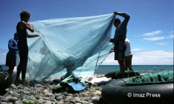 Pêche bichique