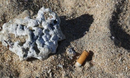 cigarettes