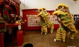 Célébration du nouvel an chinois à Saint-Denis