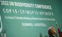 Coup d'envoi de la COP15, le sommet de la décennie pour sauver la nature