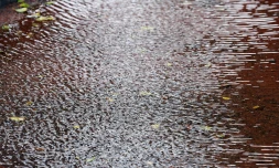 météo réunion