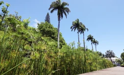 Jardin de l'Etat