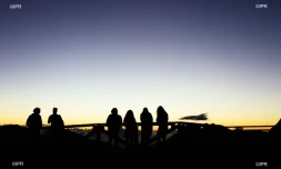 illustrations photos