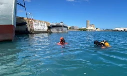 Marine nationale : plongeur