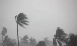 Conseils en cas de cyclone par le TCO