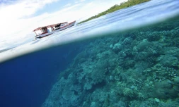 Climat: le Giec publie son diagnostic et son ordonnance