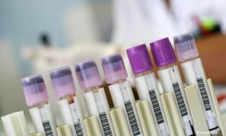 laboratoire