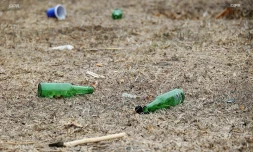bouteilles d'alcool