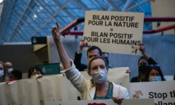 COP15 Biodiversité: les défenseurs de l'environnement craignent que l'accord final soit inopérant
