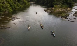 Brésil: un barrage menace la biodiversité en Amazonie