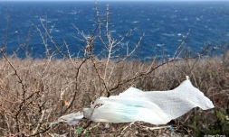 Déchets plastiques