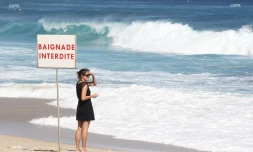panneaux requins baignade interdite