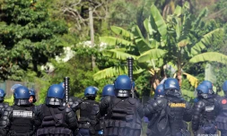 manifestation mayotte archive