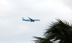 Avion FrenchBee