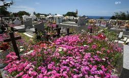 Cimetière