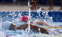 Championnat de natation de La Réunion