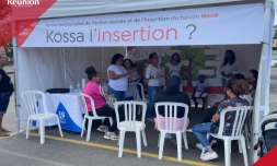 Département - insertion