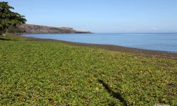 Baie de Saint-Paul