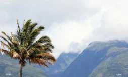 météo réunion