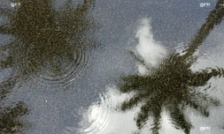 pluie