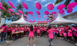 vague rose à saint-benoît 2022